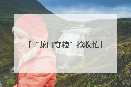 “龙口夺粮”抢收忙