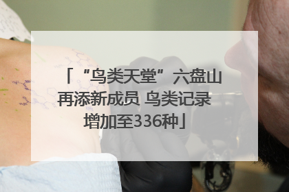 “鸟类天堂”六盘山再添新成员 鸟类记录增加至336种