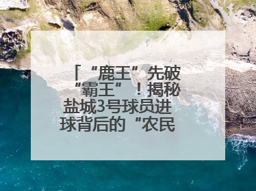“鹿王”先破“霸王”！揭秘盐城3号球员进球背后的“农民街游侠”联盟