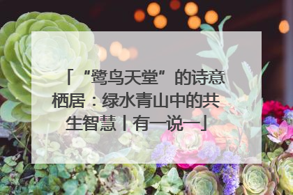 “鹭鸟天堂”的诗意栖居：绿水青山中的共生智慧丨有一说一