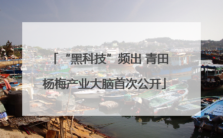 “黑科技”频出 青田杨梅产业大脑首次公开