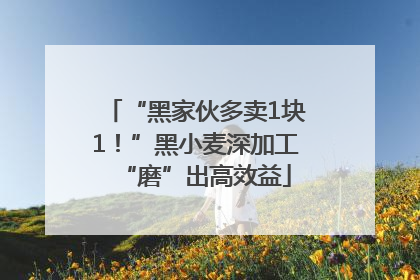 “黑家伙多卖1块1！”黑小麦深加工“磨”出高效益