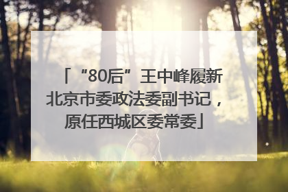 “80后”王中峰履新北京市委政法委副书记，原任西城区委常委