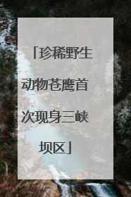 珍稀野生动物苍鹰首次现身三峡坝区
