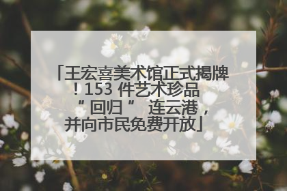王宏喜美术馆正式揭牌！153 件艺术珍品 “ 回归 ” 连云港，并向市民免费开放