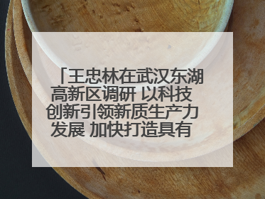 王忠林在武汉东湖高新区调研 以科技创新引领新质生产力发展 加快打造具有全国影响力的科技创新高地