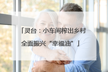 灵台：小车间榨出乡村全面振兴“幸福油”