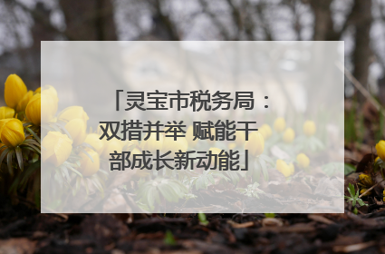 灵宝市税务局：双措并举 赋能干部成长新动能