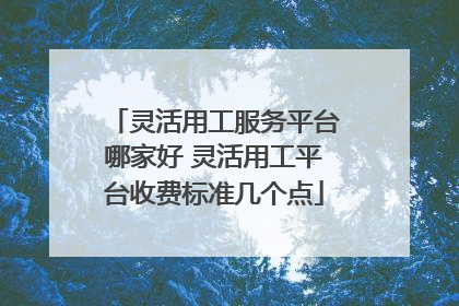 灵活用工服务平台哪家好 灵活用工平台收费标准几个点