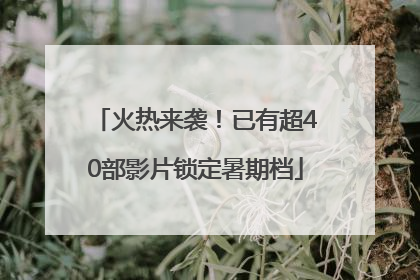 火热来袭！已有超40部影片锁定暑期档