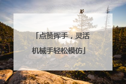 点赞挥手，灵活机械手轻松模仿