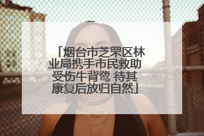 烟台市芝罘区林业局携手市民救助受伤牛背鹭 待其康复后放归自然
