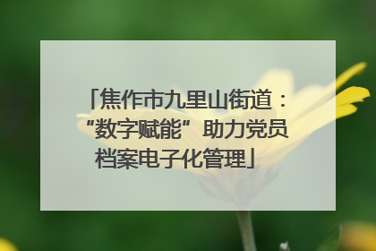 焦作市九里山街道：“数字赋能”助力党员档案电子化管理