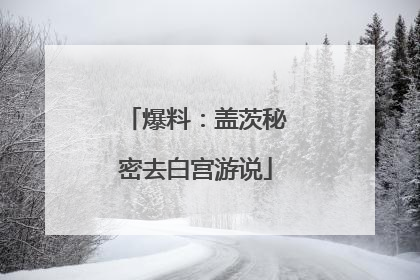 爆料：盖茨秘密去白宫游说