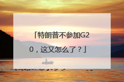 特朗普不参加G20，这又怎么了？