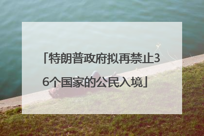 特朗普政府拟再禁止36个国家的公民入境