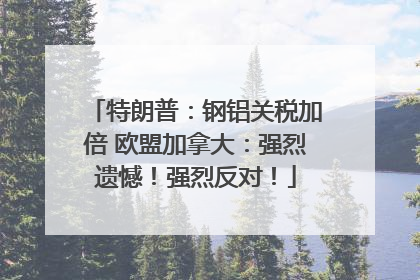 特朗普：钢铝关税加倍 欧盟加拿大：强烈遗憾！强烈反对！