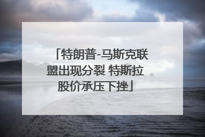 特朗普-马斯克联盟出现分裂 特斯拉股价承压下挫