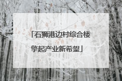 石狮港边村综合楼擎起产业新希望