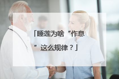 睡莲为啥“作息”这么规律？