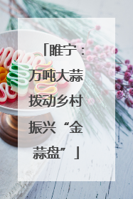 睢宁：万吨大蒜拨动乡村振兴“金蒜盘”