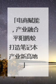 电商赋能，产业融合 平阳腾蛟打造笔记本产业新高地