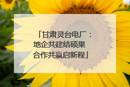 甘肃灵台电厂：地企共建结硕果 合作共赢启新程