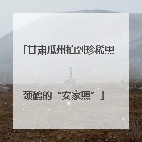 甘肃瓜州拍到珍稀黑颈鹤的“安家照”