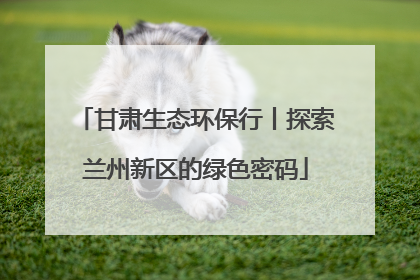 甘肃生态环保行丨探索兰州新区的绿色密码