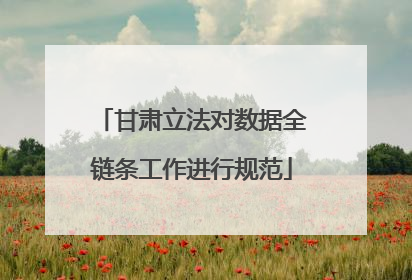 甘肃立法对数据全链条工作进行规范