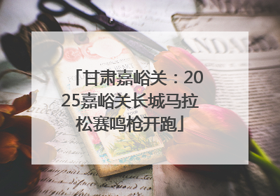 甘肃嘉峪关：2025嘉峪关长城马拉松赛鸣枪开跑