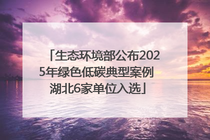 生态环境部公布2025年绿色低碳典型案例 湖北6家单位入选
