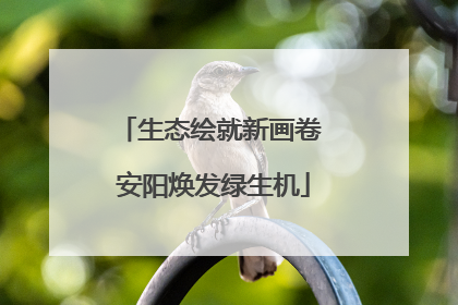 生态绘就新画卷 安阳焕发绿生机