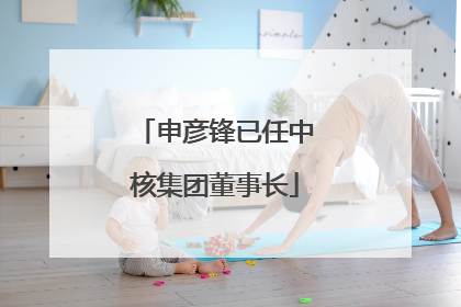 申彦锋已任中核集团董事长