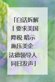 白话拆解丨要求美国降税 暗示施压美企 法德领导人同日发声