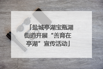 盐城亭湖宝瓶湖街道开展“善育在亭湖”宣传活动
