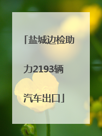 盐城边检助力2193辆汽车出口