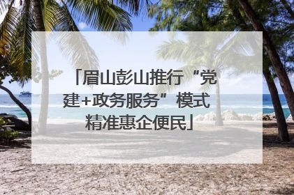 眉山彭山推行“党建+政务服务”模式 精准惠企便民