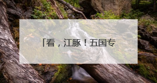 看，江豚！五国专家南京江边考察邂逅“微笑天使”
