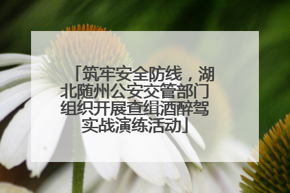 筑牢安全防线，湖北随州公安交管部门组织开展查缉酒醉驾实战演练活动
