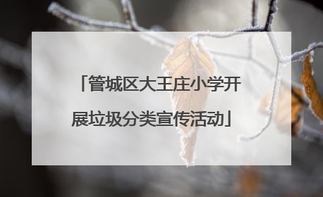管城区大王庄小学开展垃圾分类宣传活动