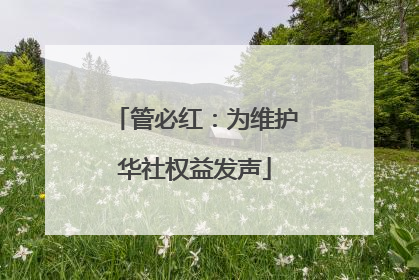 管必红：为维护华社权益发声