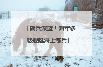砺兵深蓝！海军多艘舰艇海上练兵
