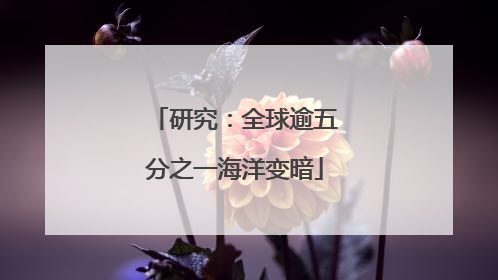 研究：全球逾五分之一海洋变暗