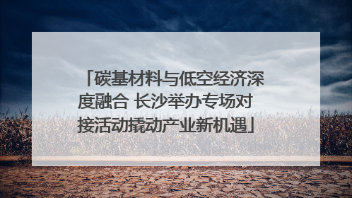碳基材料与低空经济深度融合 长沙举办专场对接活动撬动产业新机遇