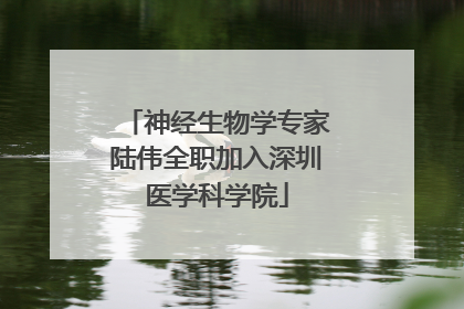 神经生物学专家陆伟全职加入深圳医学科学院