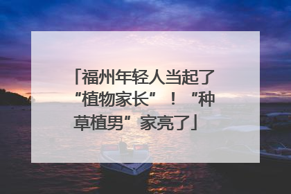 福州年轻人当起了“植物家长”！“种草植男”家亮了