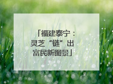 福建泰宁：灵芝“链”出富民新图景