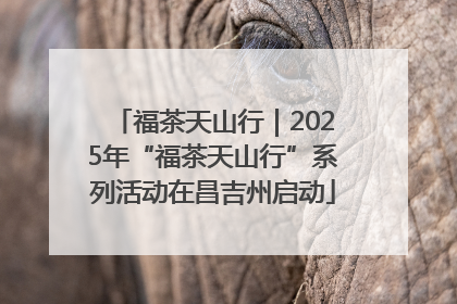 福茶天山行｜2025年“福茶天山行”系列活动在昌吉州启动