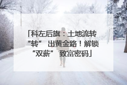 科左后旗：土地流转 “转” 出黄金路！解锁 “双薪” 致富密码